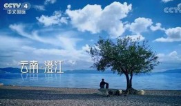 抚仙湖爆料视频,揭秘湖中不为人知的秘密